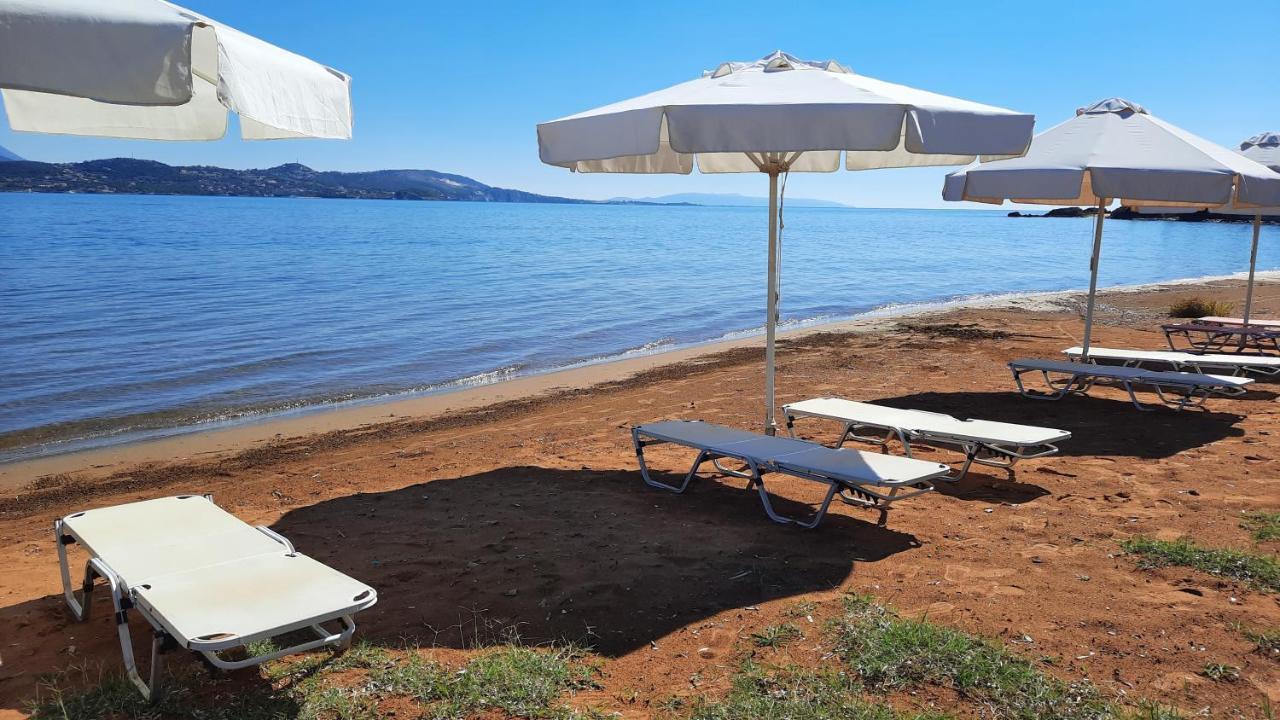 Alekos Beach Houses-Alekos Beach Complex Lixouri Exterior foto